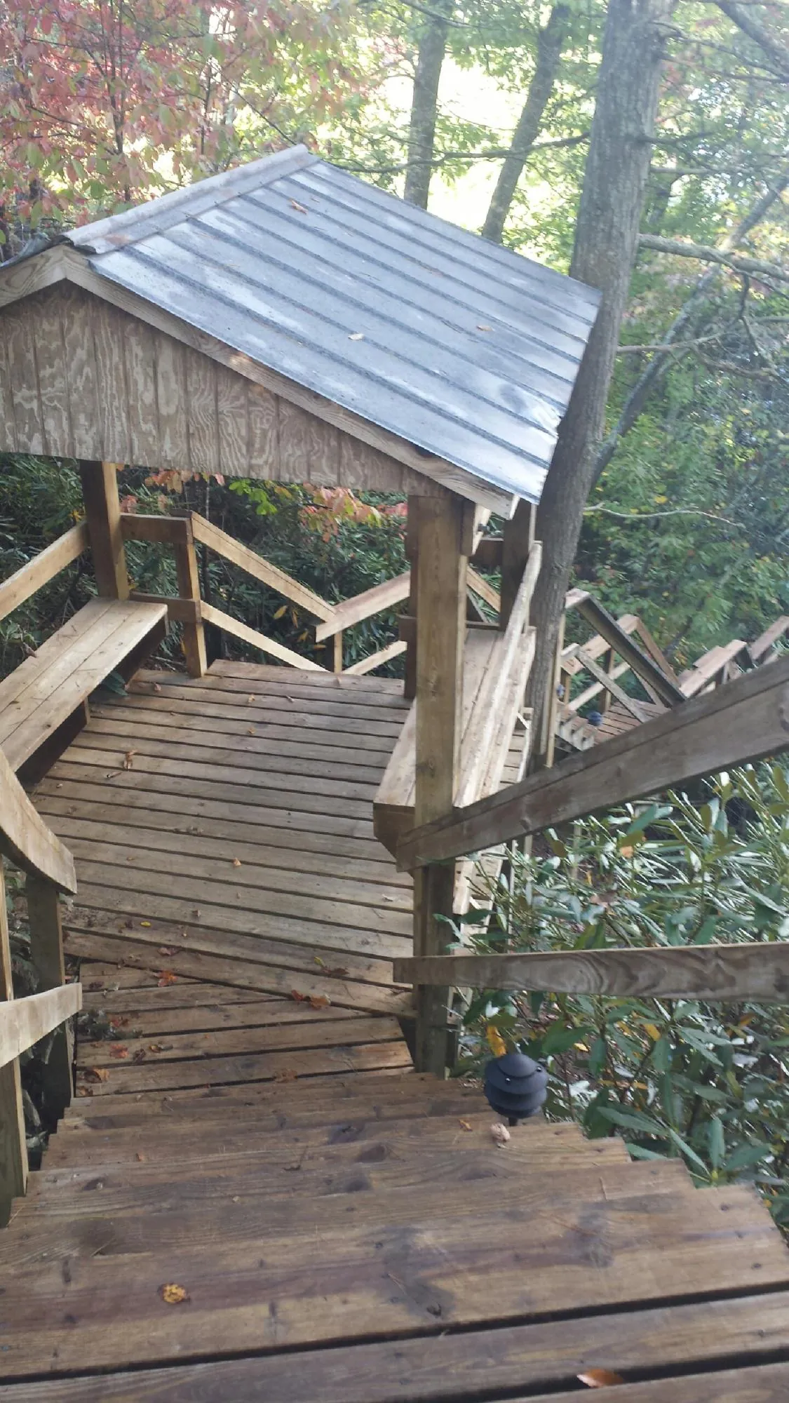 Metal roofed shelter over wooden steps on a wooded walkway — Skylight Repair & Installation work by our crew in New Bern